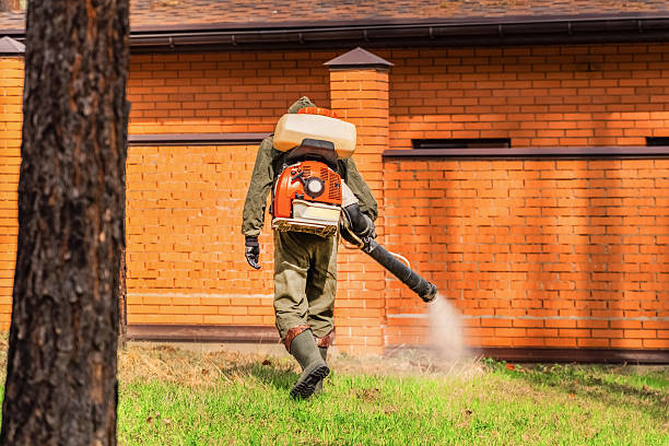 Trusted Cockroach Control service in Magnolia, NC - Nex Pest Control